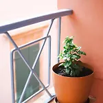 Authentic In Fiscardo Appartement