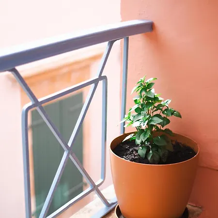 Authentic In Fiscardo Apartman